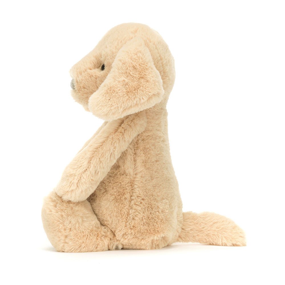 Bashful Luxe Puppy Orlando - Image 3