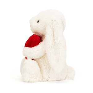 BASHFUL_RED_LOVE_HEART_BUNNY_2__15320.1738949076