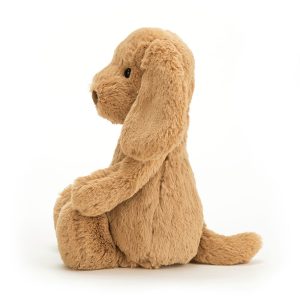 BASHFUL_TOFFEE_PUPPY_1__19714.1727976050