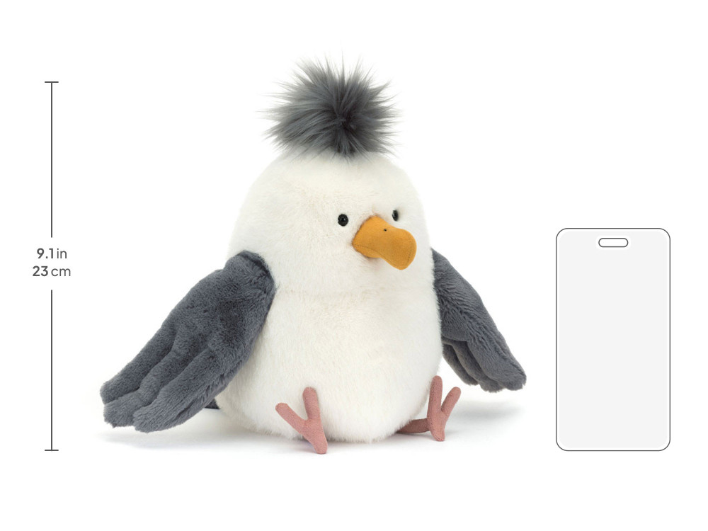 Chip Seagull - Image 4