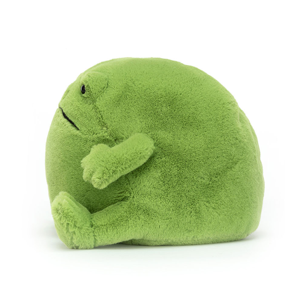 Ricky Rain Frog - Image 11