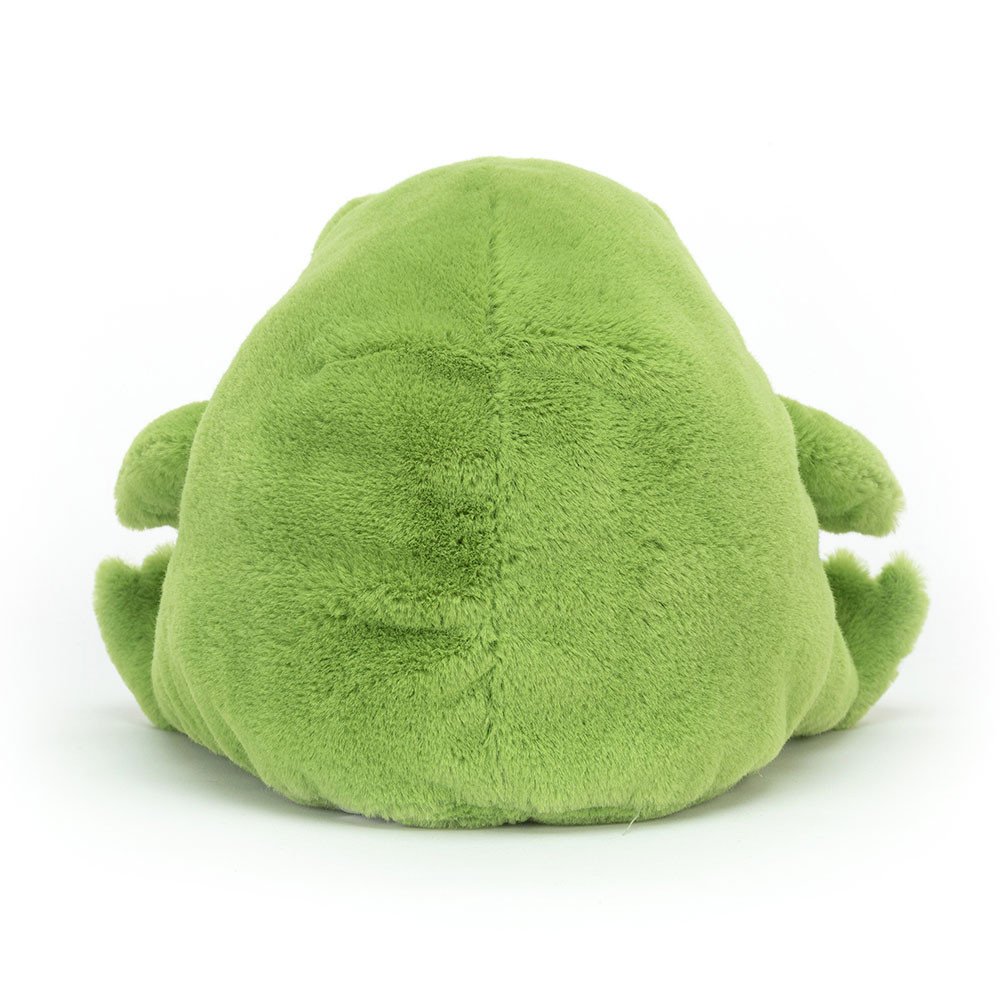Ricky Rain Frog - Image 12