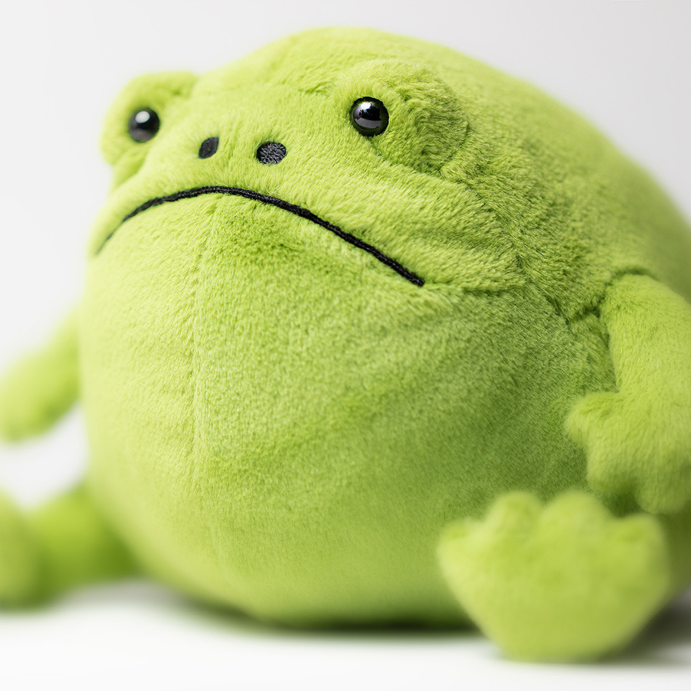 Ricky Rain Frog - Image 14