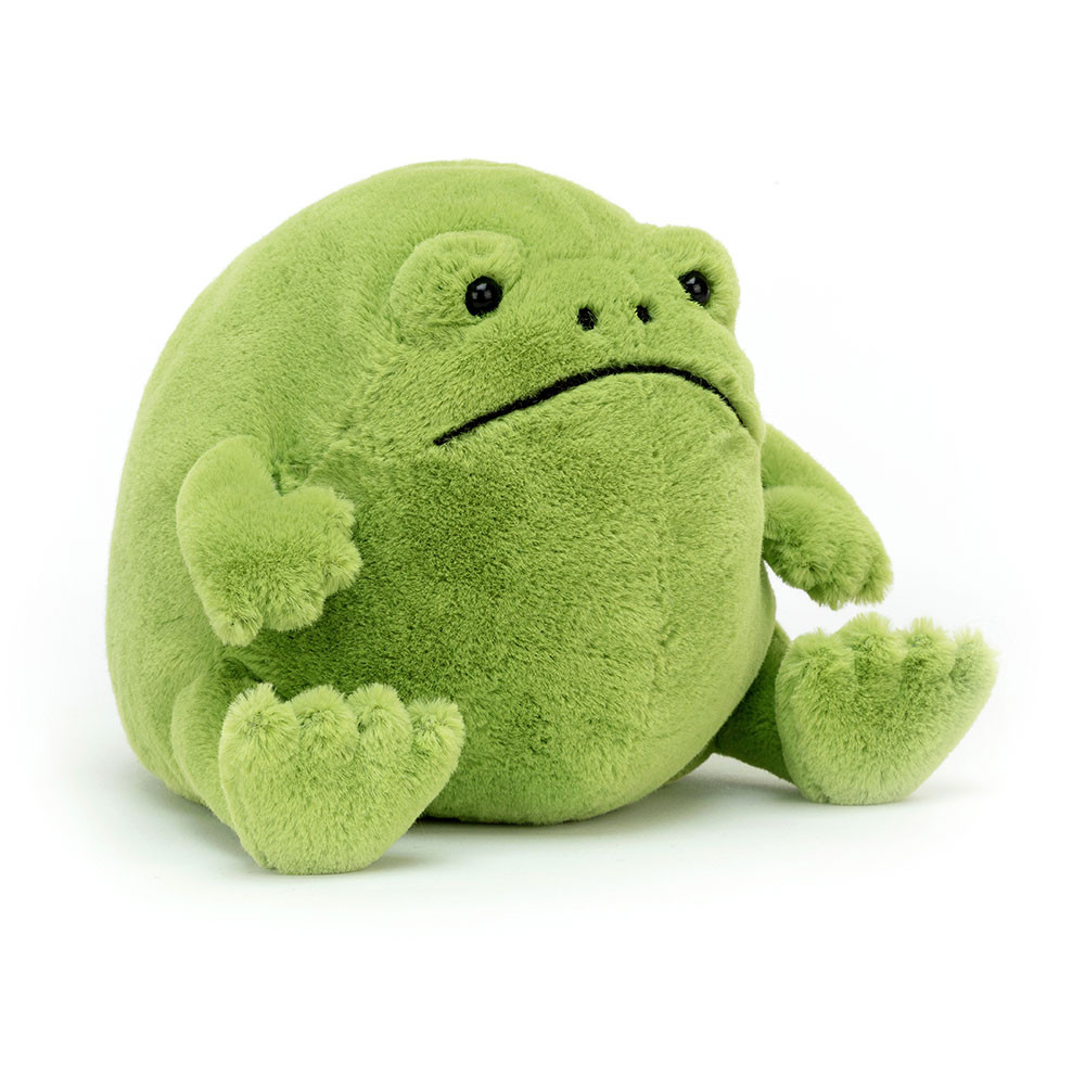 Ricky Rain Frog - Image 2