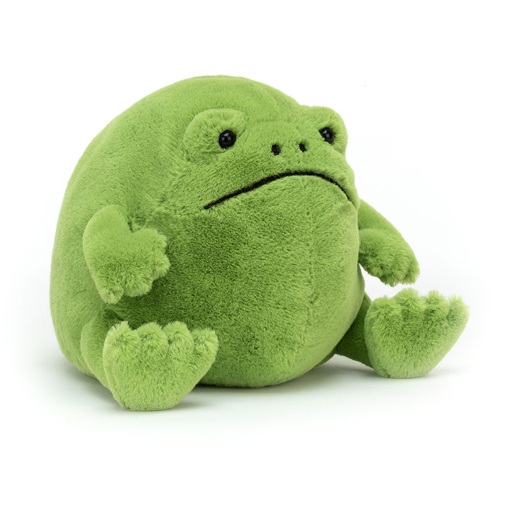 Ricky Rain Frog - Image 13